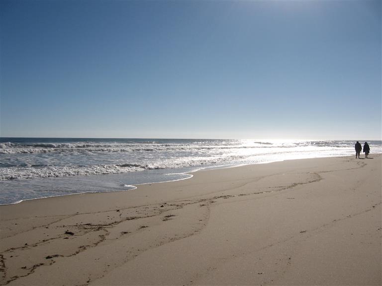 Worked in America. Went to the Beach. Found a Boyfriend.