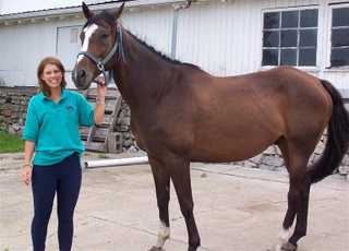 Horse Riding Counselor